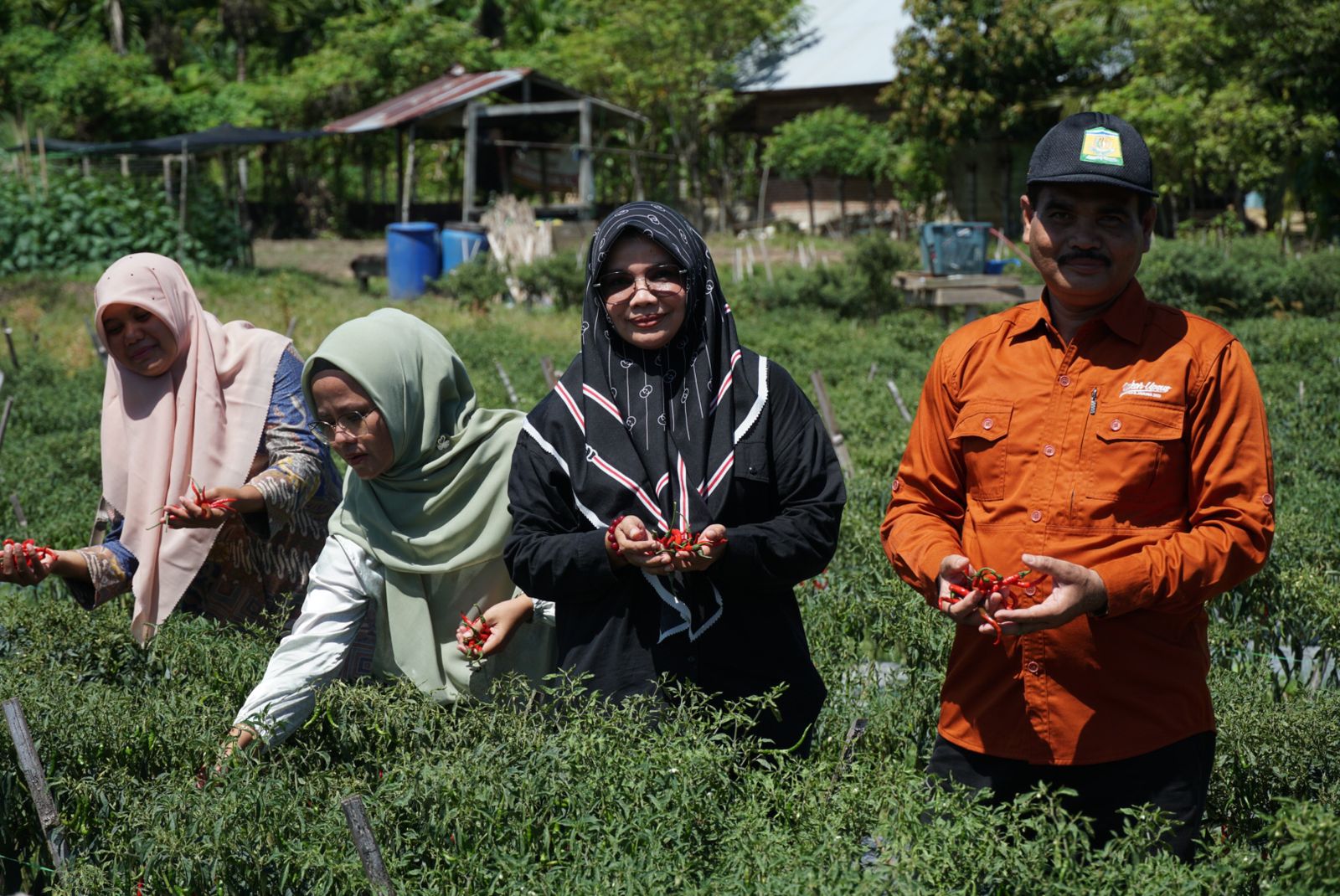 Distan Aceh Besar Gencar Tekan Laju inflasi Daerah