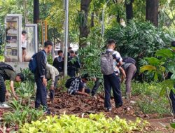 Jika Banyak Negatifnya, Pemprov DKI Minta Koin Jagat Di-take down
