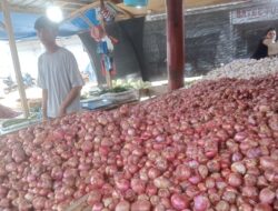 Fluktuasi Harga Bahan Dapur di Banda Aceh