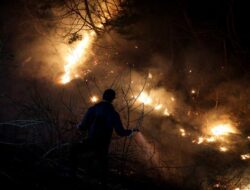 Kebakaran Hutan di Korea Selatan, 26 Orang Tewas