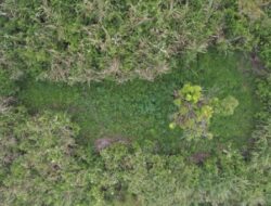 Terungkap! Ada 59 Titik Ladang Ganja yang Ditemukan di Gunung Semeru Pakai Drone
