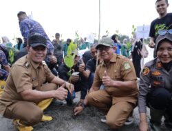 Bupati Aceh Besar Ikut Tanam Manggrove di Kajhu