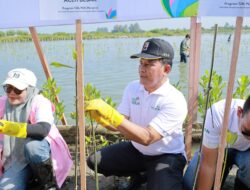 Pemkab Aceh Besar Dukung Penanaman 10 Ribu Mangrove oleh PLN di Baitussalam