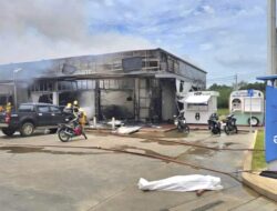 11 Warga Thailand Tewas, Kamboja Klaim Bela Diri