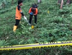 Puluhan Potongan Tubuh Manusia Ditemukan di Lereng Gunung Welirang, Diduga Korban Mutilasi