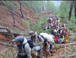 Warga Umang Linge Aceh Tengah Kosongkan Gampong, Terancam Kelaparan Akut