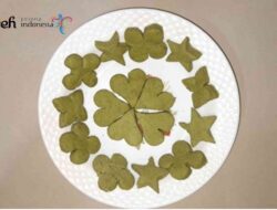 Kue Tradisional Cingkhui Lamno Asal Jepang Ditetapkan Jadi Warisan Budaya Takbenda