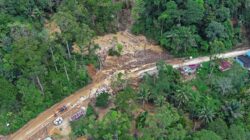 BNPB: Korban Jiwa Bencana di Sumatera Tembus 1.006 Orang dan 217 Masih Hilang