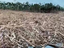 12 Perusahaan Penyebab Bencana Sumatera Akan Dicabut Izin dan Proses Pidana