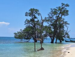 Pantai Pasir Putih Lamreh Aceh Besar Perlu Promosi Berkelanjutan