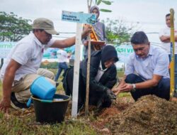 Peringati HKB 2026, BNPB dan Pemko Banda Aceh Tanam 1567 Pohon