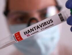 Israel Konfirmasi Kasus Hantavirus Pertama, Begini Gejalanya
