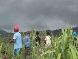 14 Pendaki Selamat dari Erupsi Gunung Dukono, 7 WNI dan 7 WNA
