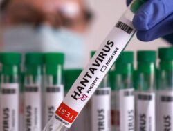 Waspada Virus ‘Tikus’ Hantavirus Sudah Nyebar di Negara-Negara Asia
