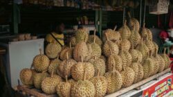 Pasokan Melimpah Ruah, Durian Malaysia Dibagikan Gratis