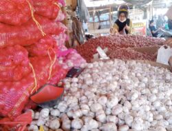 Harga dan Permintaan Bahan Dapur di Banda Aceh Level Normal