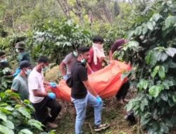 Pria Rembele Ditemukan Meninggal di Kebun Kopi