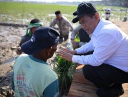 Pemerintah Aceh Jelaskan Posisi Bantuan Kementan untuk Pemulihan Sawah dan Kebun