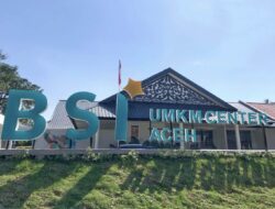 Tak Sekadar Salurkan Pembiayaan, BSI Bangun Ekosistem UMKM Nasional Bersama Danantara